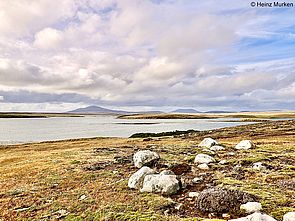 Carcass Bay, Westfalkland