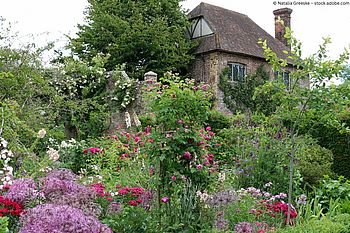 The Queen’s Roses: Die schönsten Rosengärten Englands