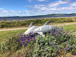 Delphin-Skulptur am  Scottish Dolphin Centre