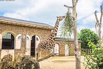 Tierwelt trifft Baukunst: Architektur im Londoner Zoo