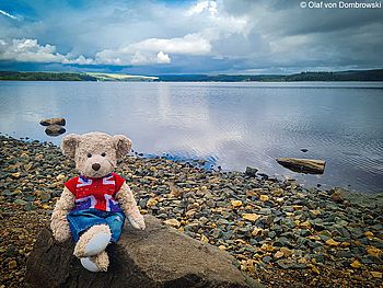 The Travelling Teddy Bear am Stausee Kielder Water in Northumberland