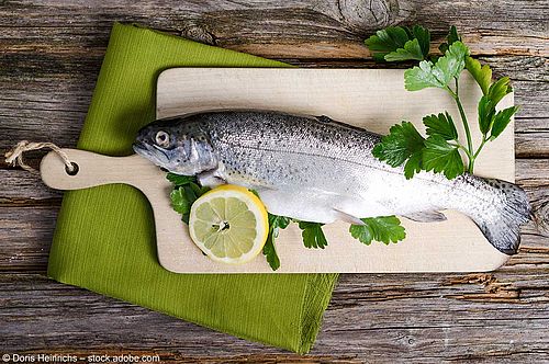 Rezept: Forelle mit Gurkensauce