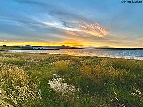 Fox Bay, Falklandinseln