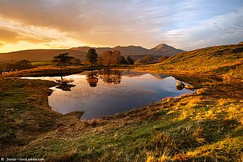 Kelly Hall Tarn, Lake District