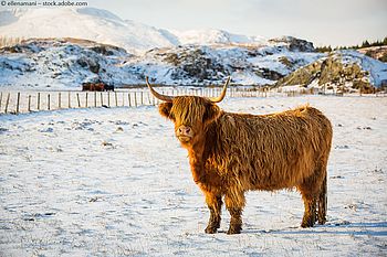 Winterwandern in Großbritannien: Die besten Routen für die kalte Jahreszeit