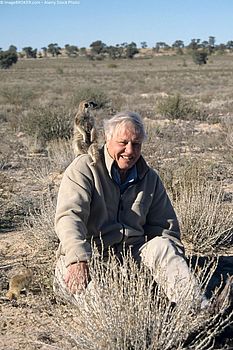 David Attenborough feiert seinen 100. Geburtstag!