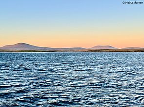 Carcass Bay, Falklandinseln