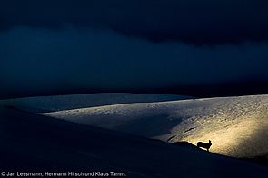 Die Ausstellung "Schottland eine Winterreise"