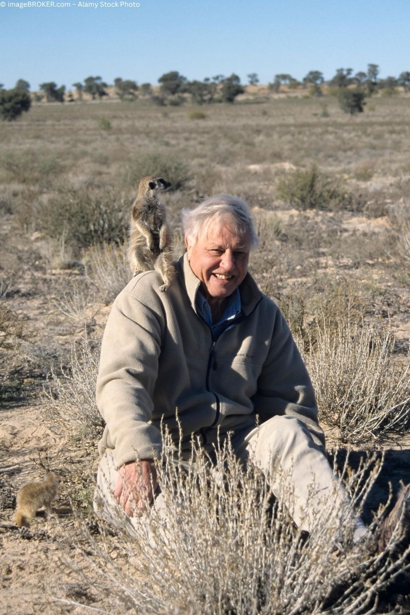 David Attenborough feiert seinen 100. Geburtstag!