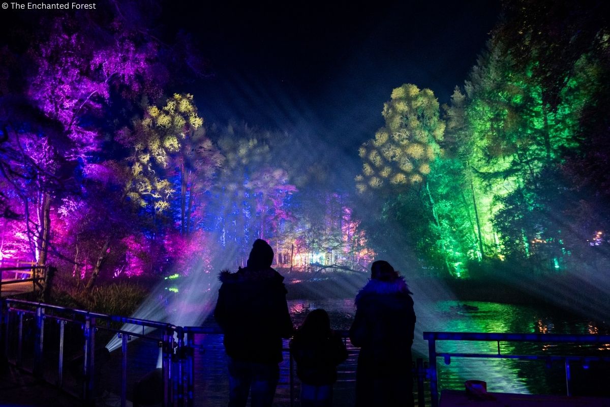 Enchanted Forest: Fascally Wood wird zum Lichterwald