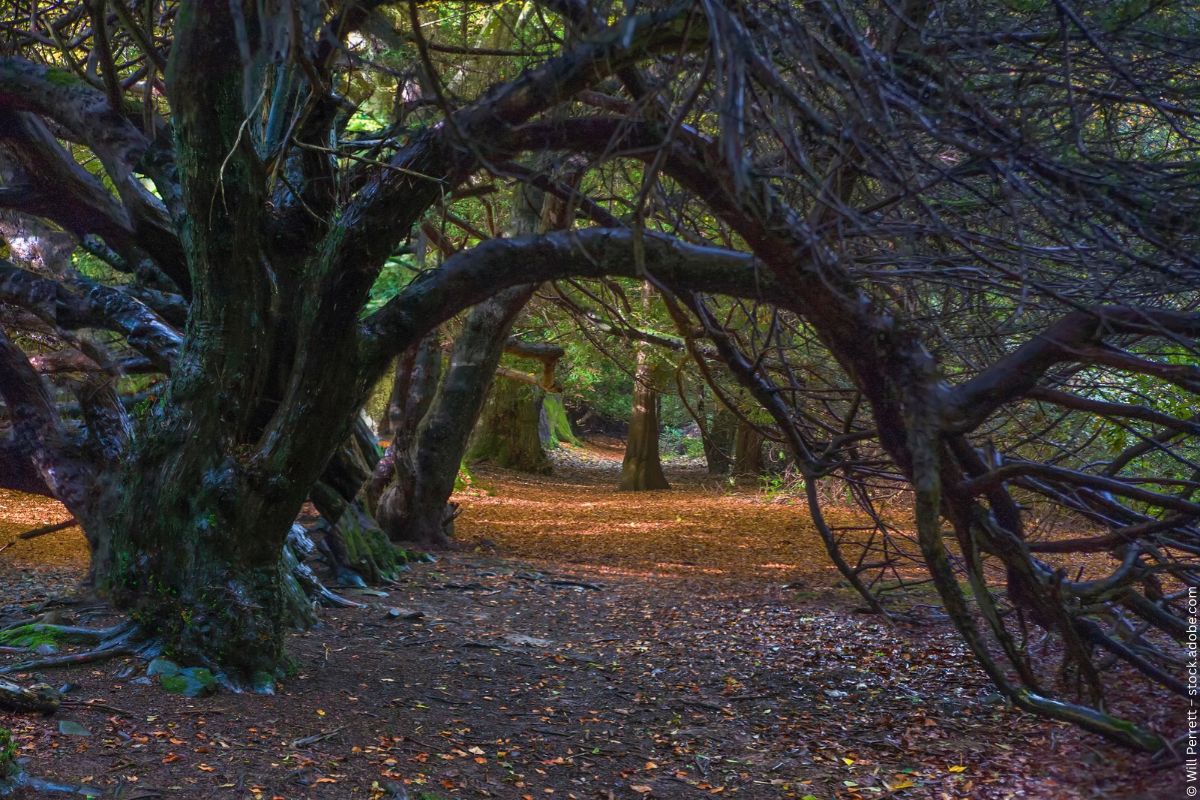 Spooky Britain: Wo die Geister umgehen