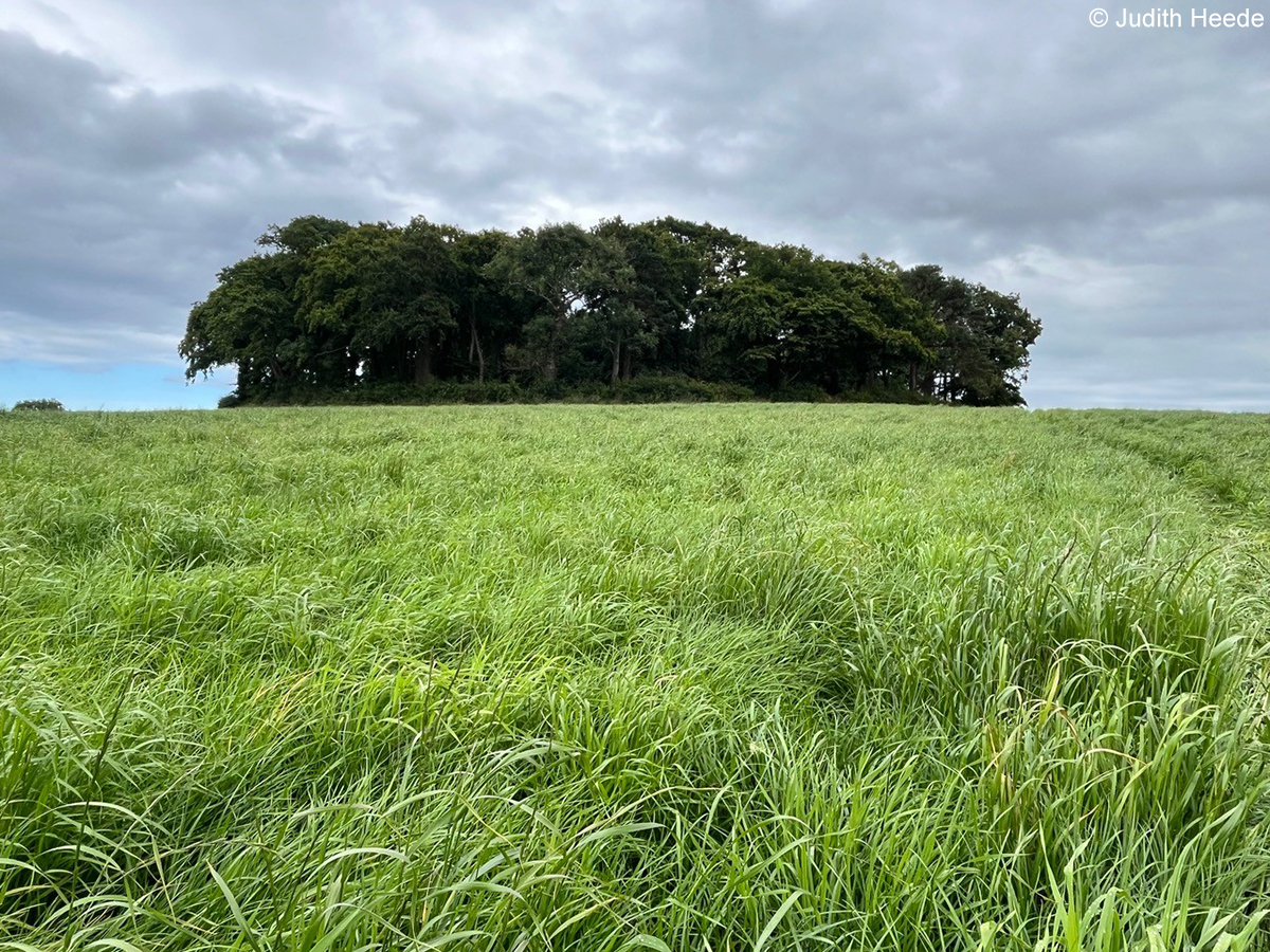 Irische Mythen, Aberglauben und die geheimnisvollen Fairy Forts