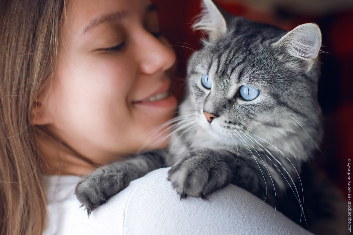 Hug Your Cat Day: Heute ist der Tag zum Katzenknuddeln