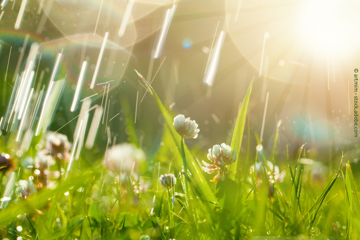 Regen- oder Sonnenschirm? Die Entscheidung fällt am St. Swithin´s Day