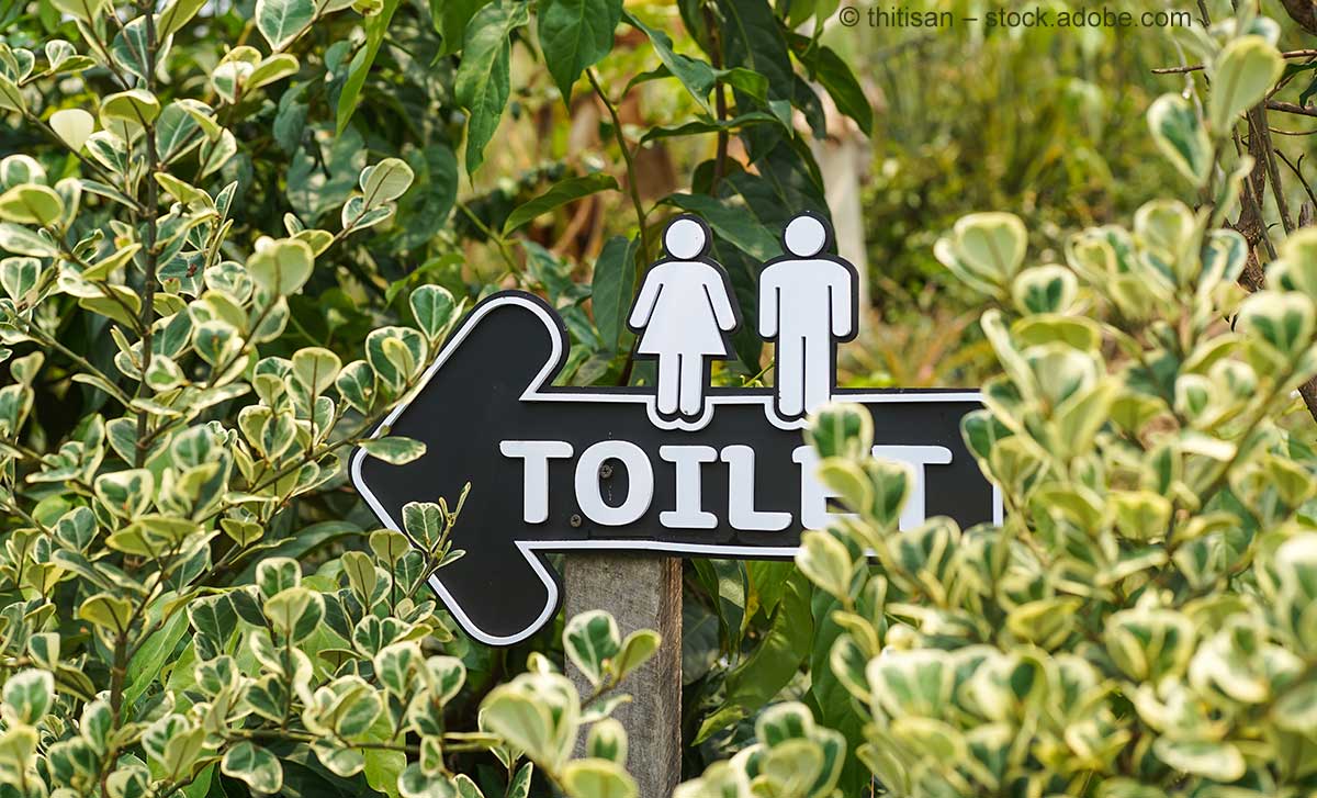 Toilet, bathroom oder loo? Wie sagt man zum "Stillen Örtchen" in England?