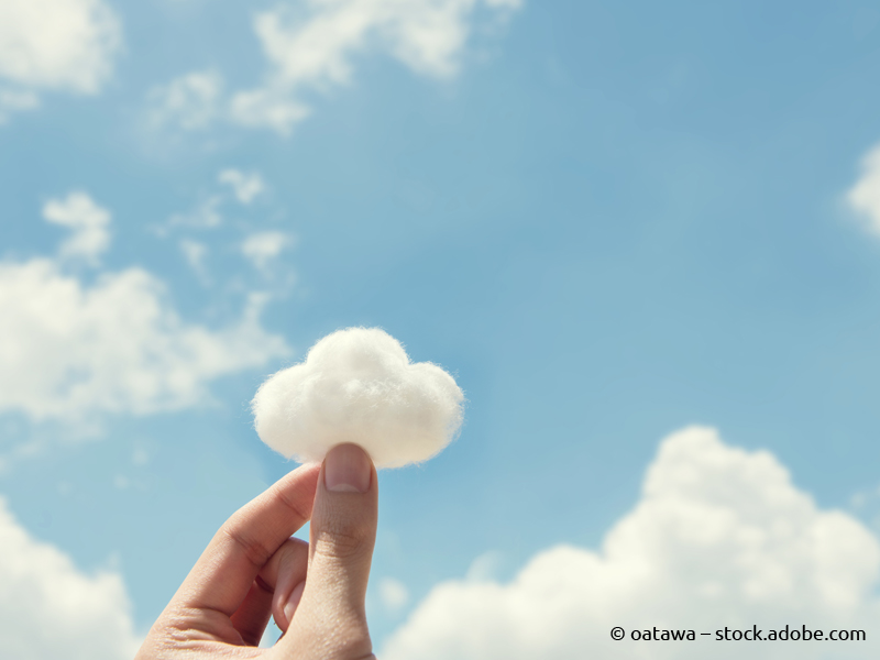Wolken im Visier: die „Cloud Appreciation Society“ schaut himmelwärts